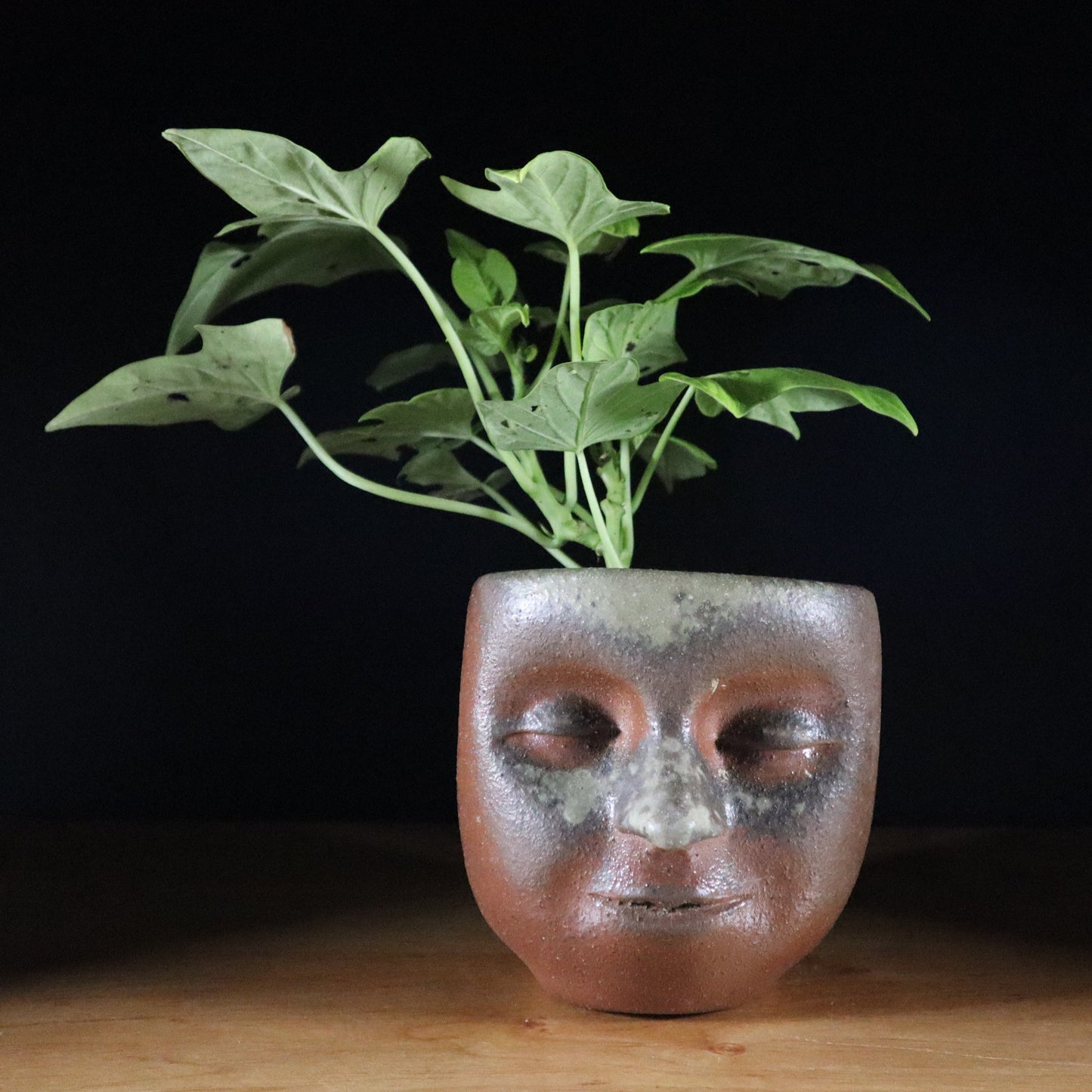Peaceful Small Wood-fired Face-Planter