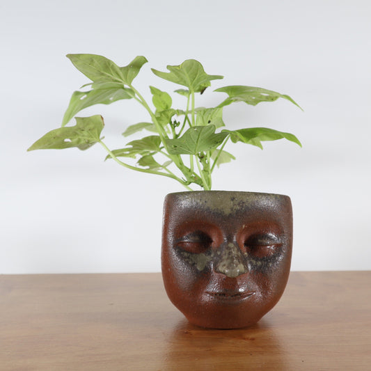 Peaceful Small Wood-fired Face-Planter
